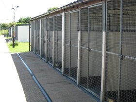 Our Kennels